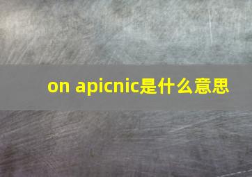 on apicnic是什么意思